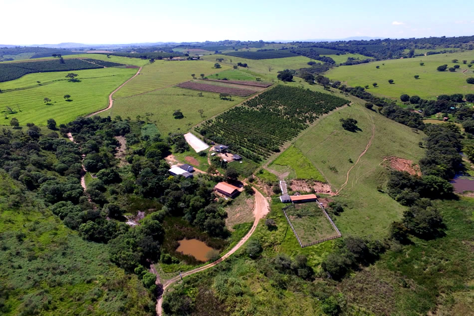 Georreferenciamento de Imóveis Rurais